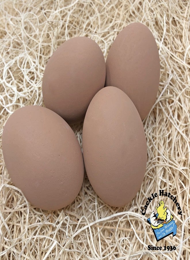 Cackle Hatchery بيض عش سيراميكي من كاكل هاتشر (4 قطع) (4 قطع بنية اللون) - Image 2